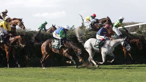The Grand National Fences