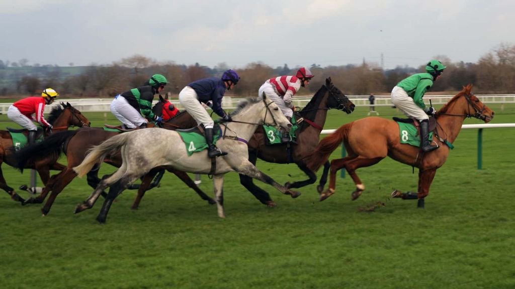 OLBG - Grand National Pictorial Guide