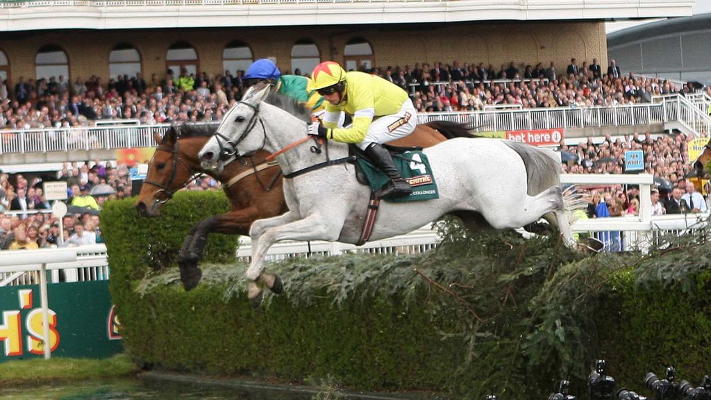OLBG - 2012 Grand National