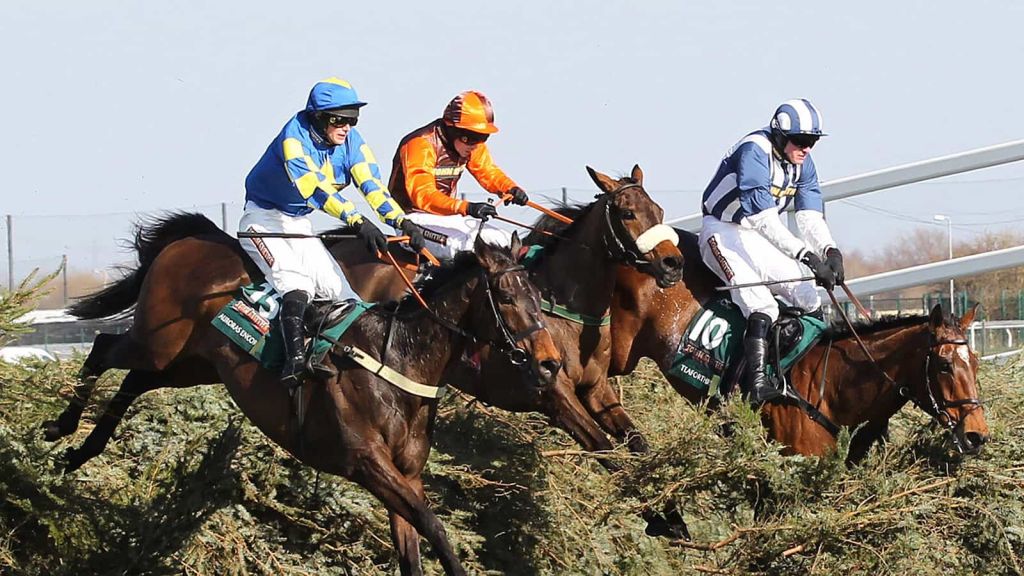 OLBG - 2013 Grand National