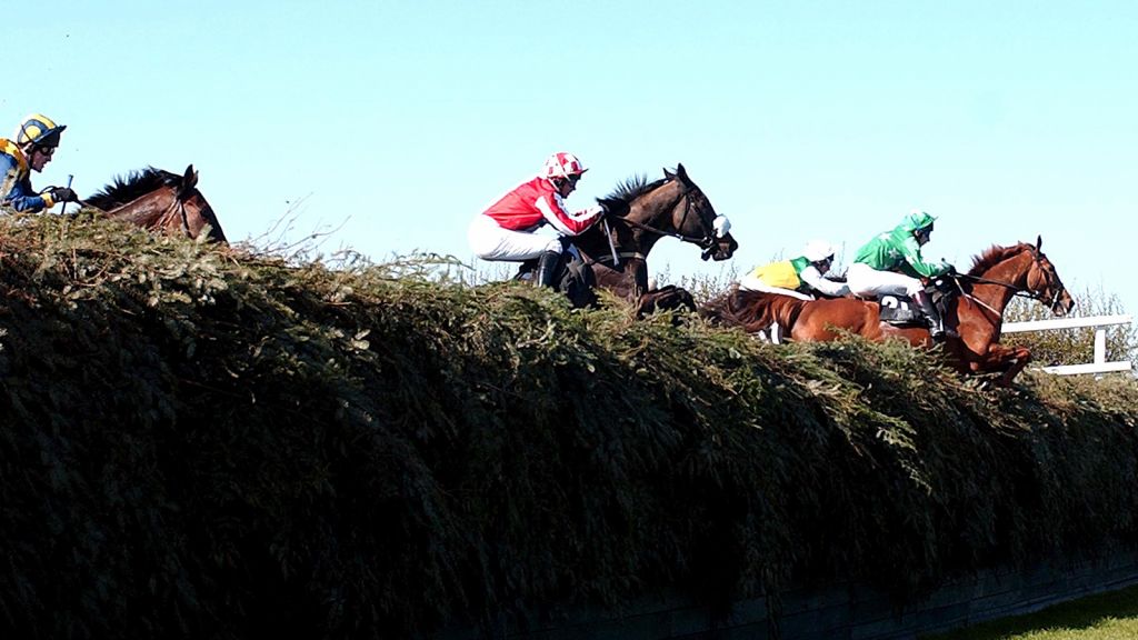 OLBG - Grand National 2001