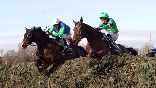 Grand National 2009
